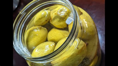 tuition mango salt|Mango with salt and honey .